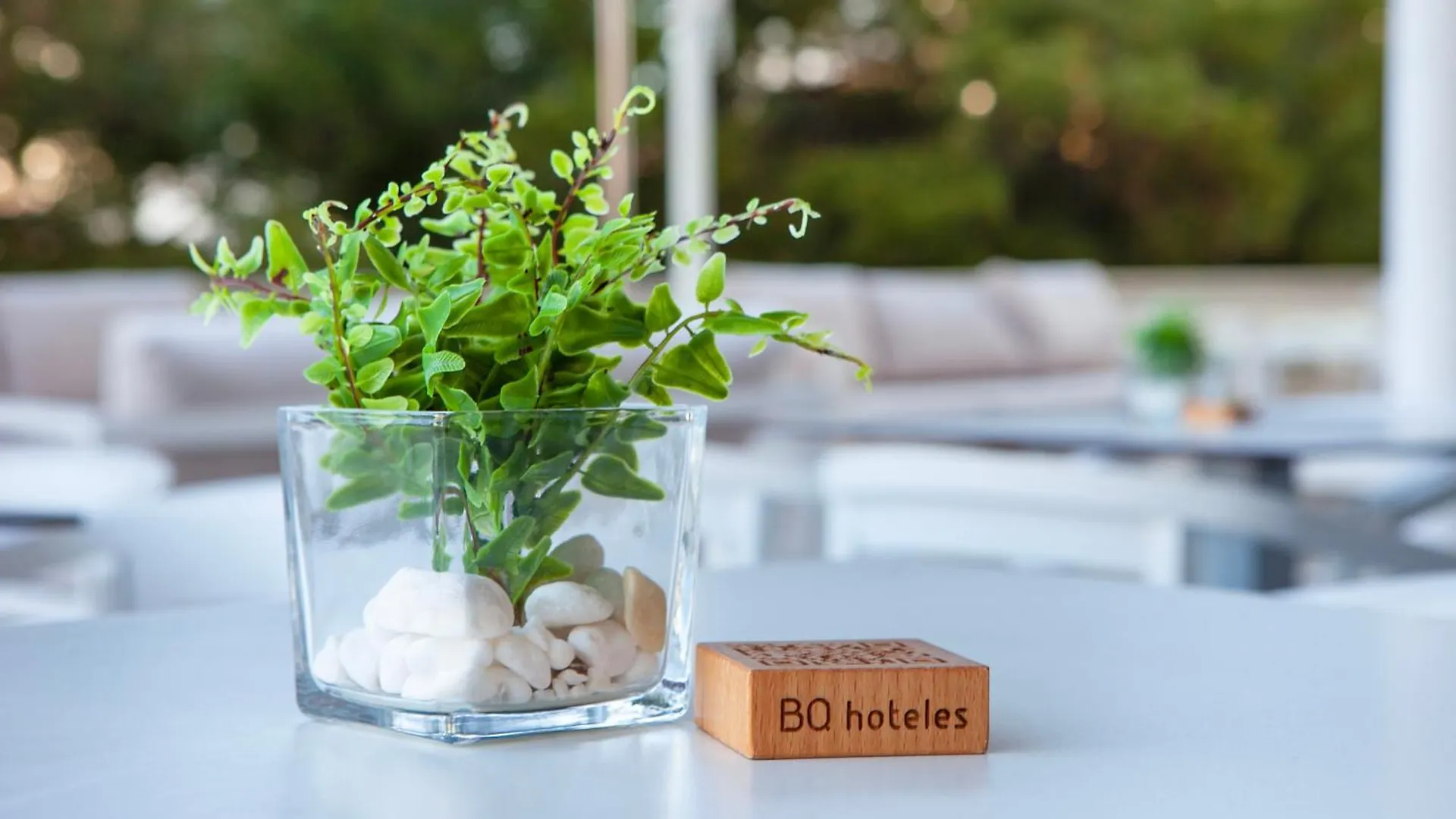 Bq Apolo Hotel Can Pastilla